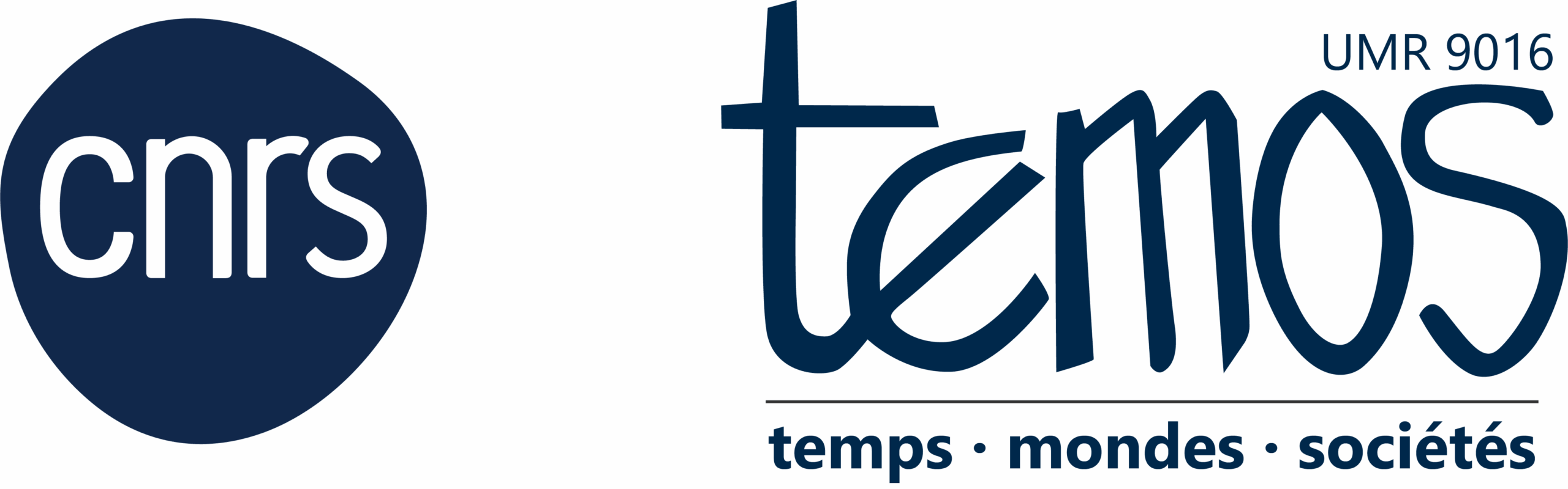 CNRS-TEMOS_2024_bleu
